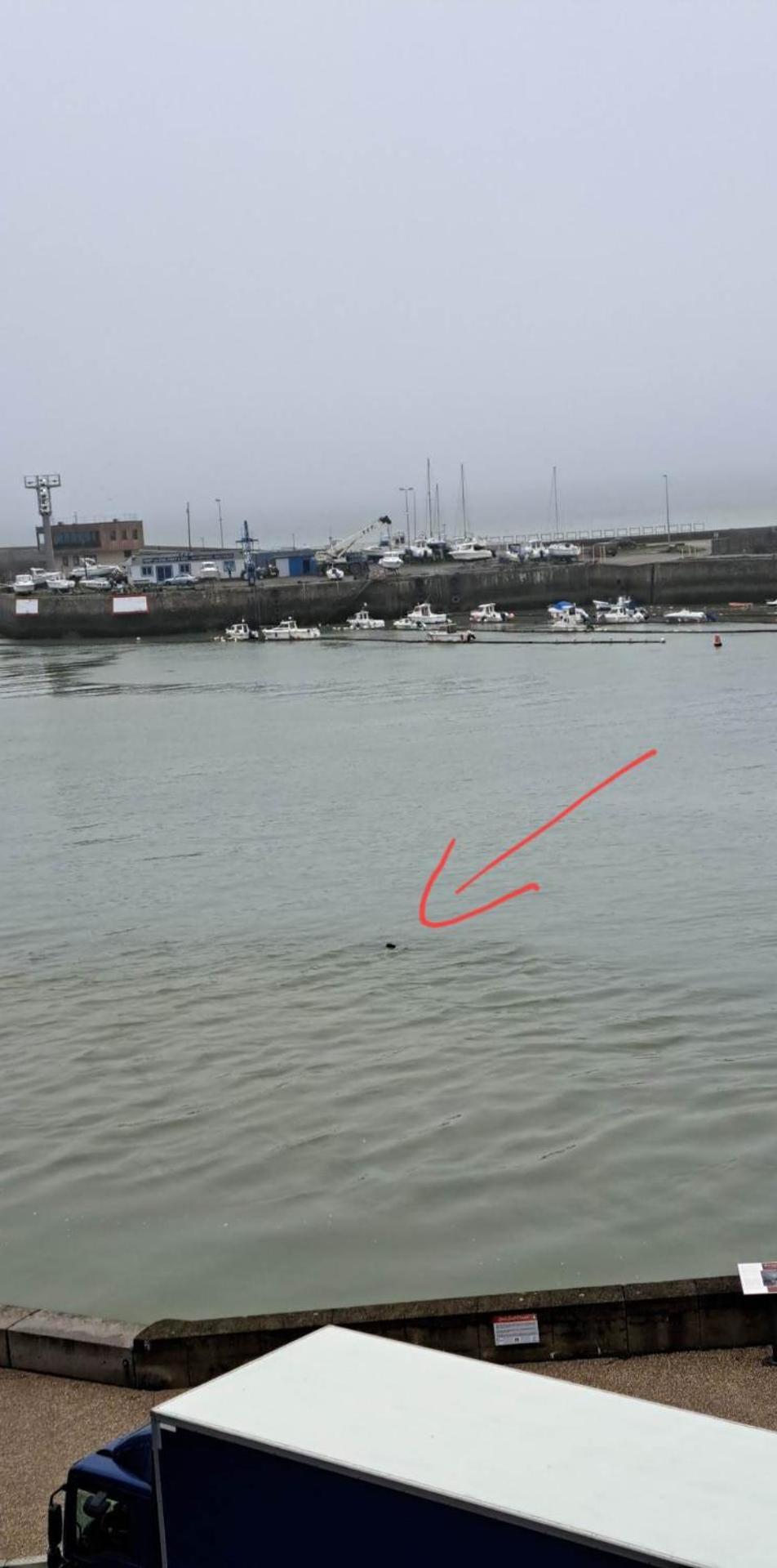 Apartmán O'3 Ports Le Tréport Pokoj fotografie